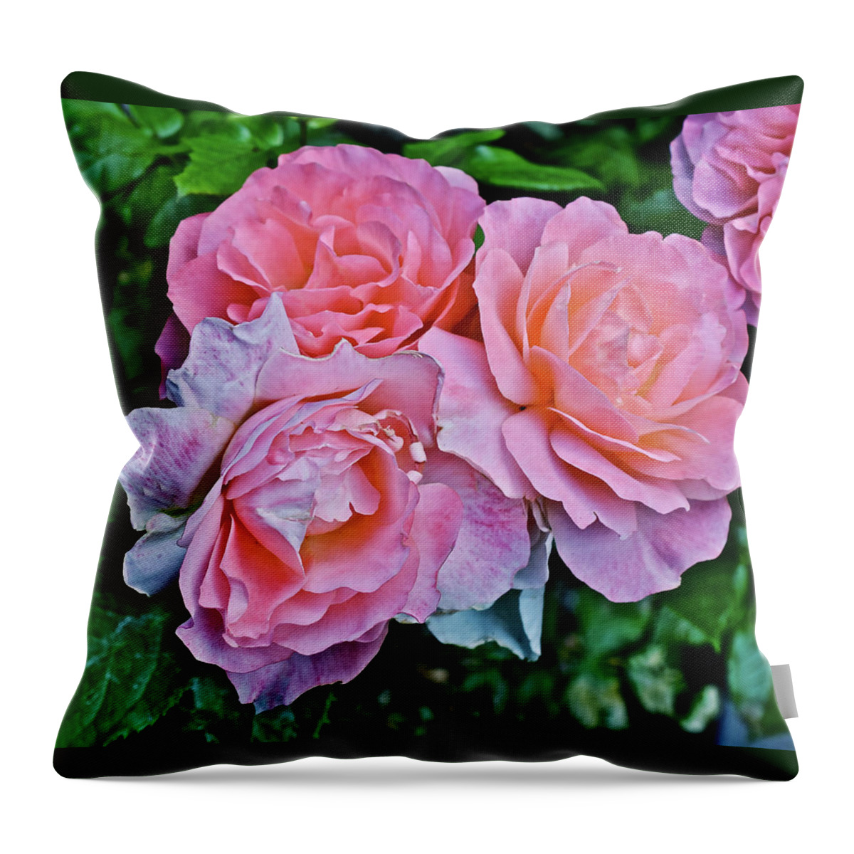 Roses Throw Pillow featuring the photograph 2020 Mid June Garden Coral Roses 1 by Janis Senungetuk
