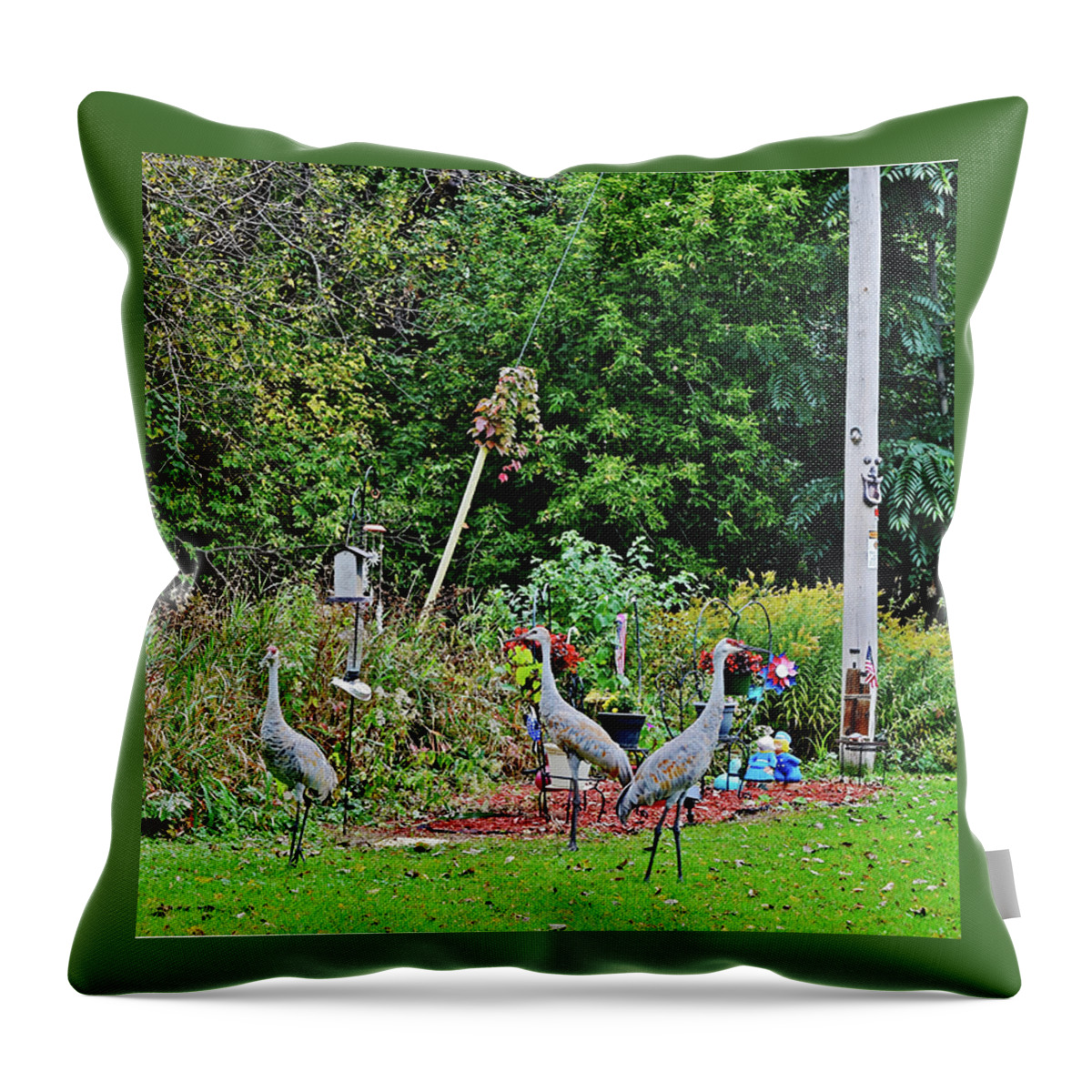 Sandhill Cranes Throw Pillow featuring the photograph 2021 Fall Sandhill Cranes 1 by Janis Senungetuk