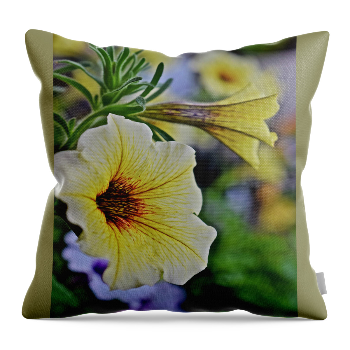 Flowers Throw Pillow featuring the photograph 2021 French Vanilla Petchoa Vertical by Janis Senungetuk