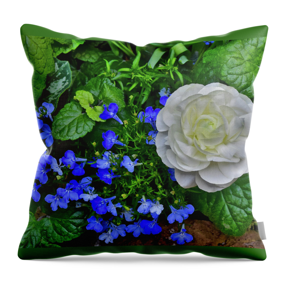 Spring Flowers Throw Pillow featuring the photograph 2023 Spring Show Buttercup and Lobelia by Janis Senungetuk