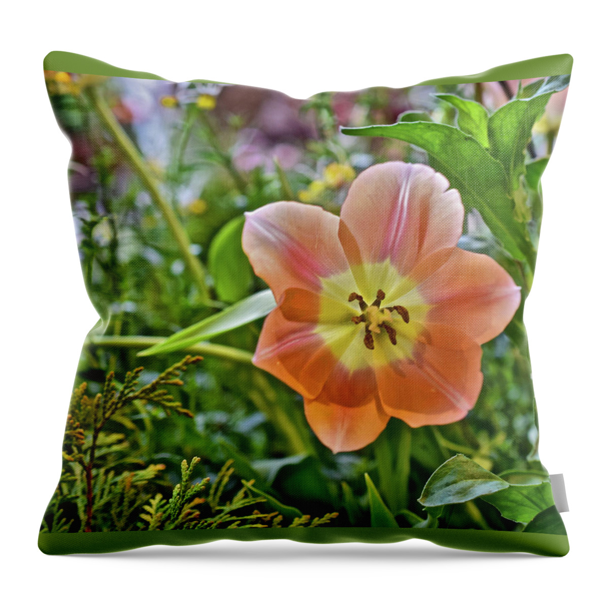 Spring Flowers Throw Pillow featuring the photograph 2023 Spring Show Orange Tulip by Janis Senungetuk
