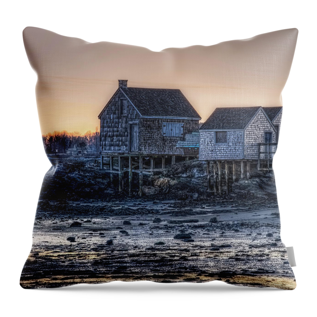 Fish Throw Pillow featuring the photograph Fish Houses #22 by Richard Bean