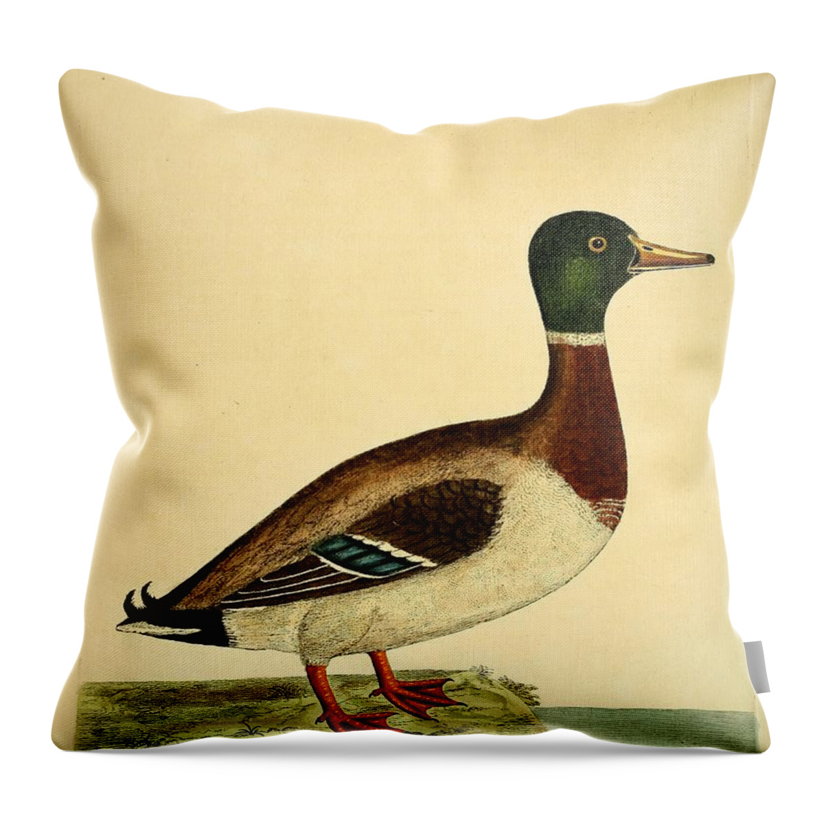Ducks Throw Pillow featuring the mixed media Beautiful antique waterfowl #24 by World Art Collective
