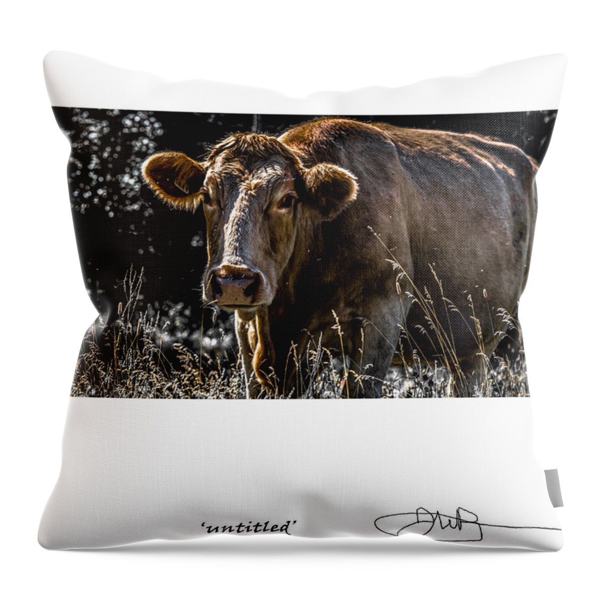 Signed Limited Edition Of 10 Throw Pillow featuring the digital art 24 by Jerald Blackstock