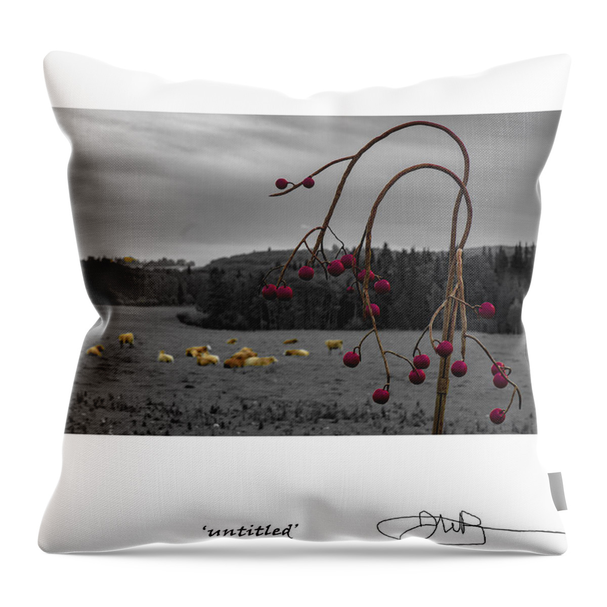 Signed Limited Edition Of 10 Throw Pillow featuring the digital art 25 by Jerald Blackstock