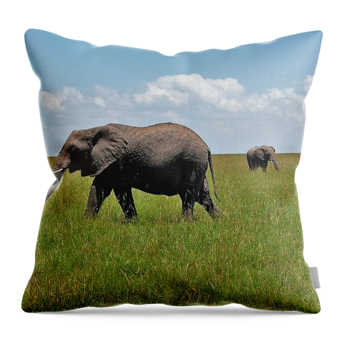  Throw Pillow featuring the photograph 2k by Jay Handler