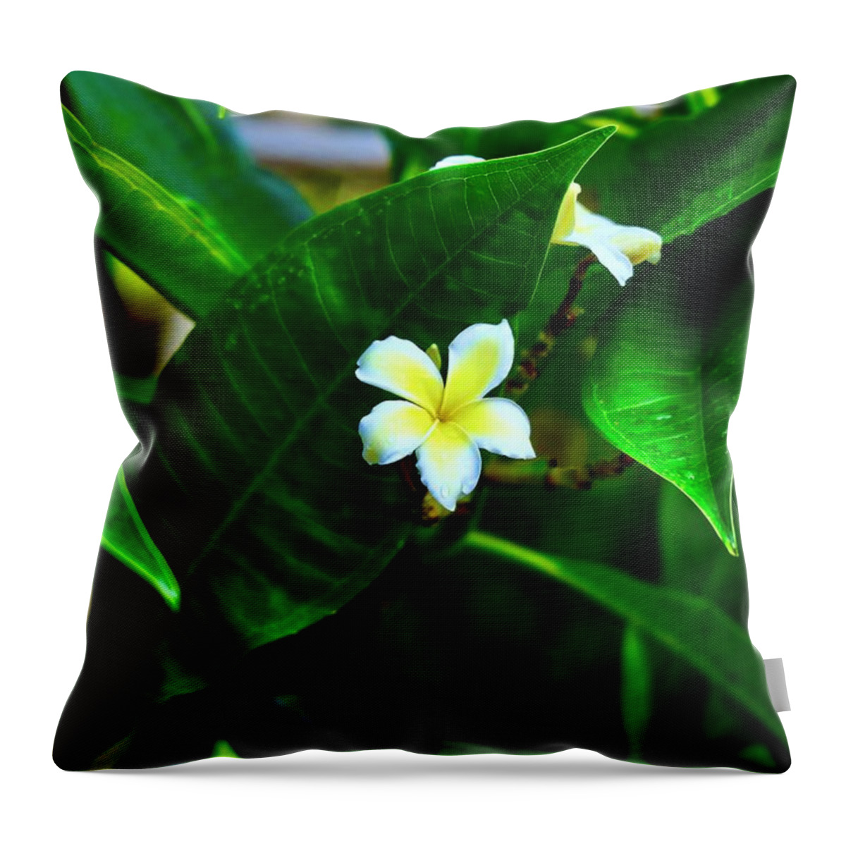 Flowers Throw Pillow featuring the photograph After the Rain #3 by Craig Wood