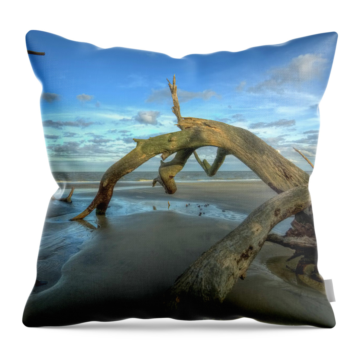 Beach Throw Pillow featuring the photograph Driftwood Beach #5 by Carolyn Hutchins