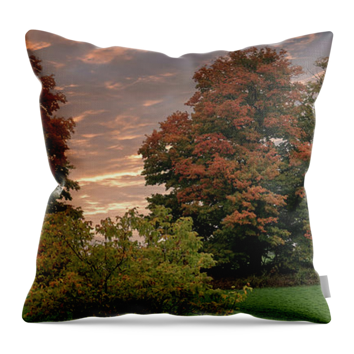 Canada Throw Pillow featuring the photograph Fall colors #3 by Nick Mares