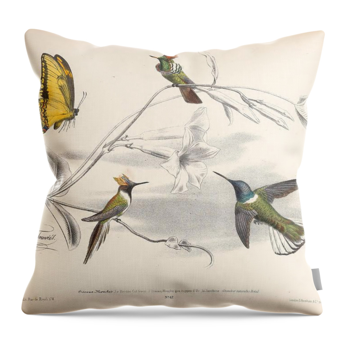 Birds Throw Pillow featuring the mixed media Hummingbirds #3 by World Art Collective