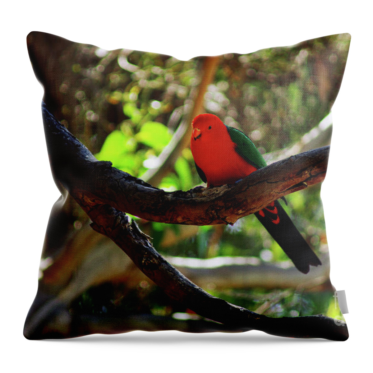 King Parrot Throw Pillow featuring the photograph King Parrot #3 by Cassandra Buckley
