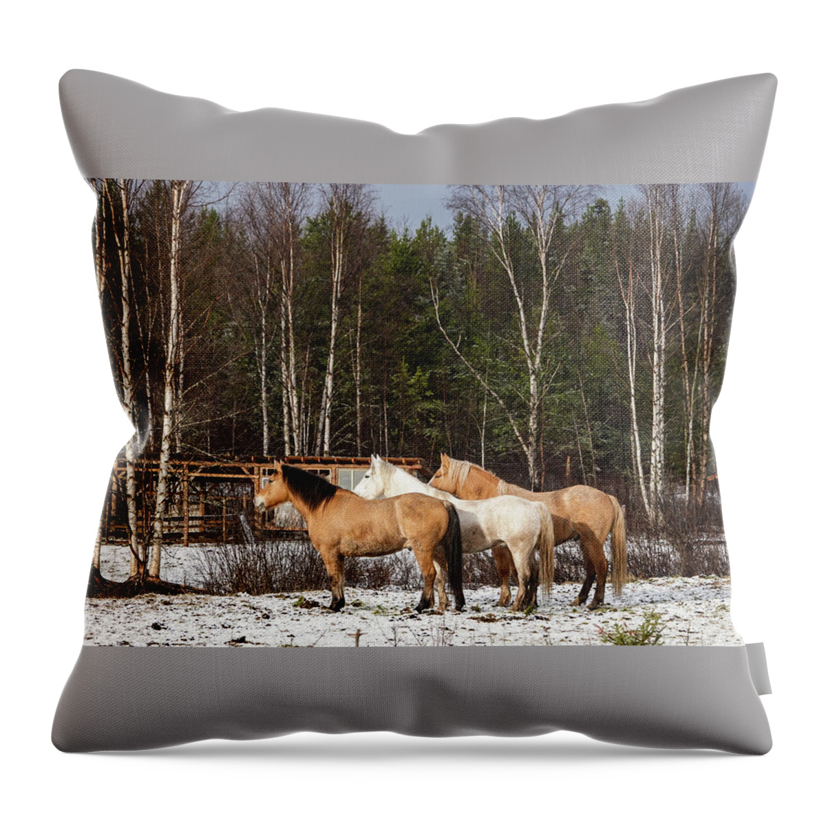 Winter Throw Pillow featuring the photograph 3 Lads by Listen To Your Horse