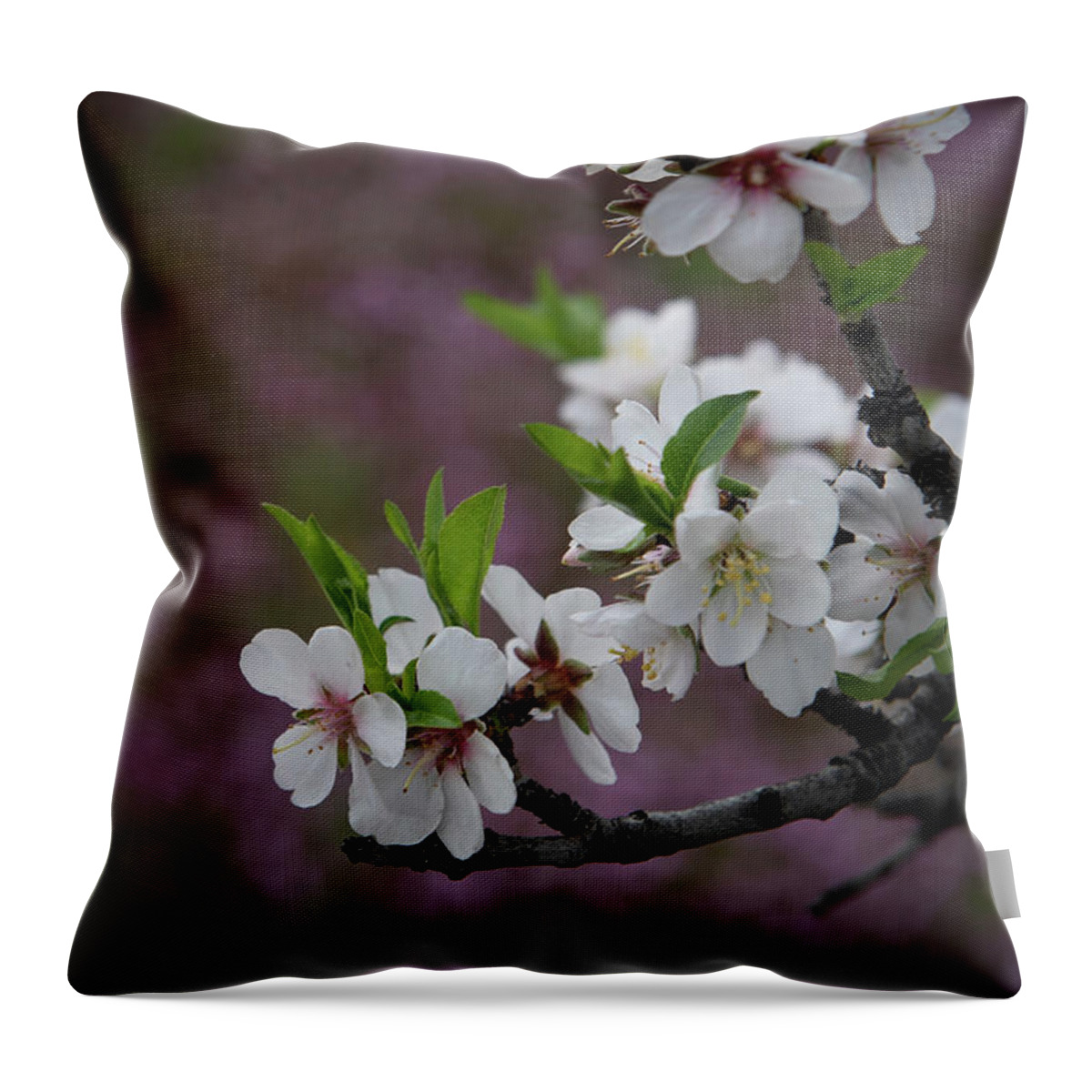Flowers Throw Pillow featuring the photograph Plum white blooming blossom flowers in early spring. Springtime beauty #3 by Michalakis Ppalis