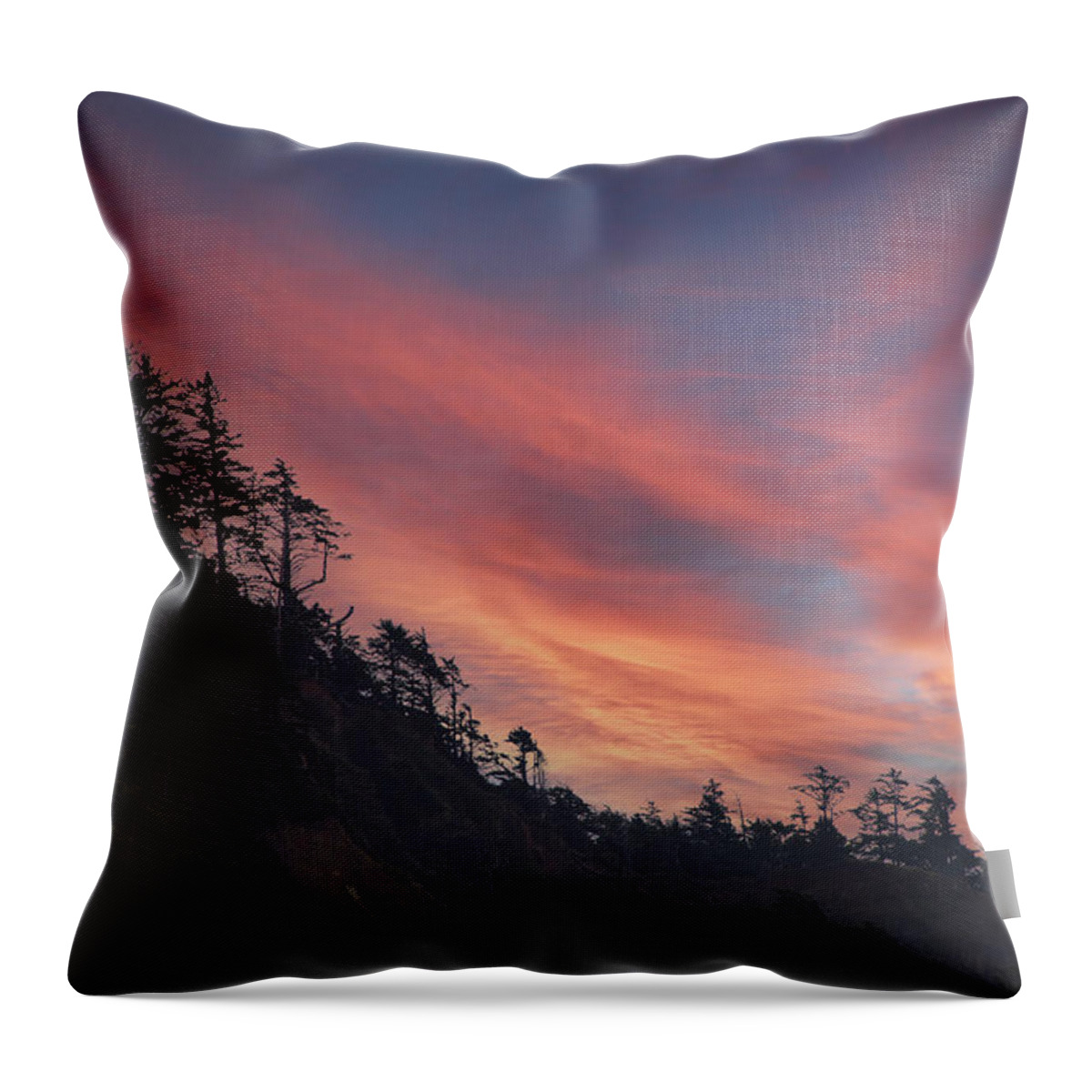 Cannon Throw Pillow featuring the photograph Silhouette of conifer against seacoast #3 by Steve Estvanik