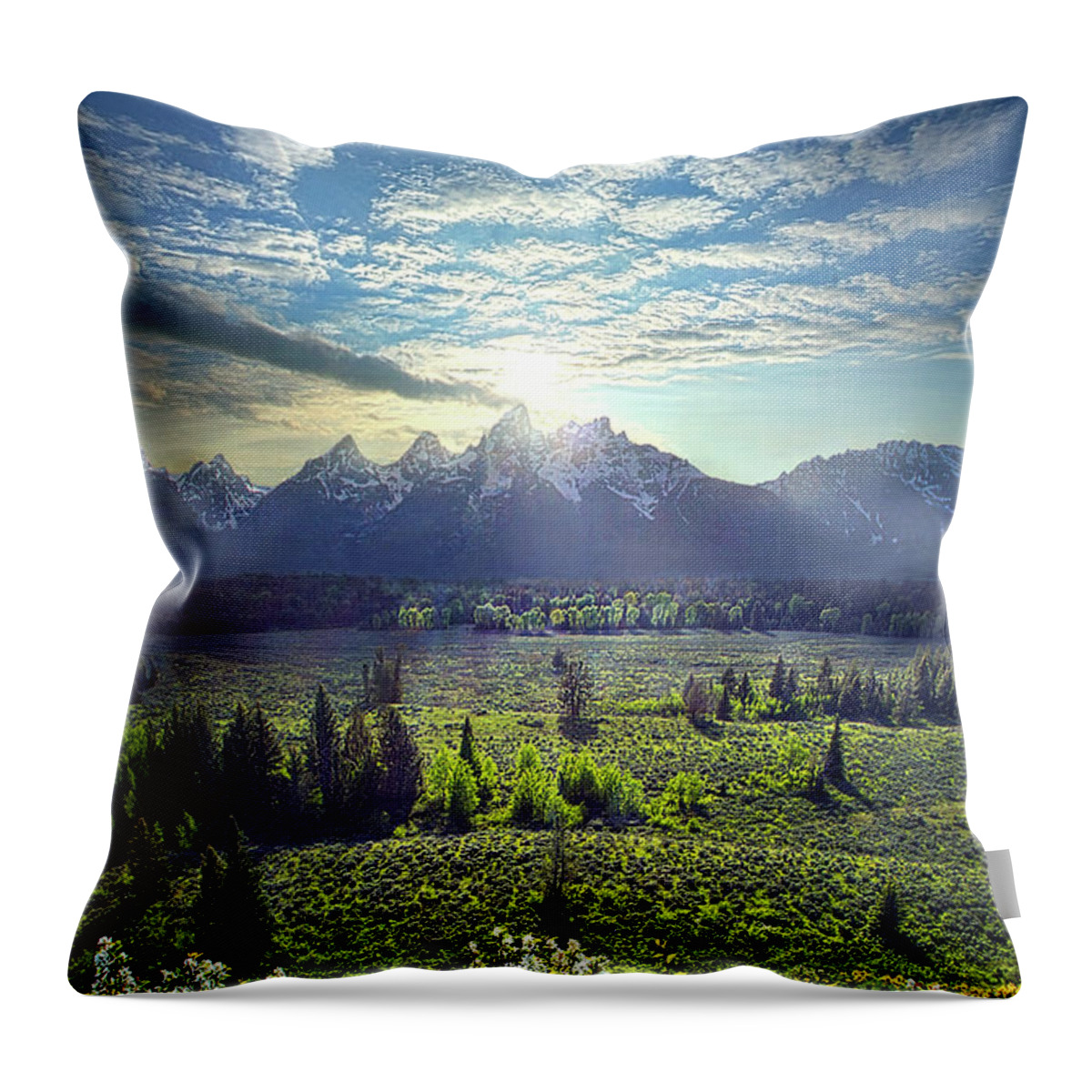 Light Throw Pillow featuring the photograph The Grand Tetons #4 by Phil Koch