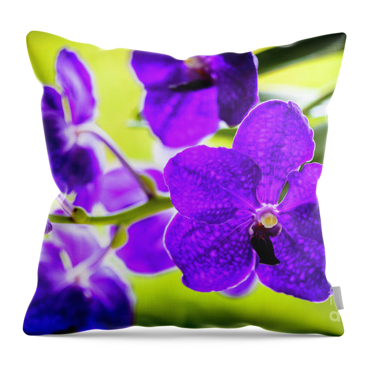 Background Throw Pillow featuring the photograph Purple Orchid Flowers #30 by Raul Rodriguez