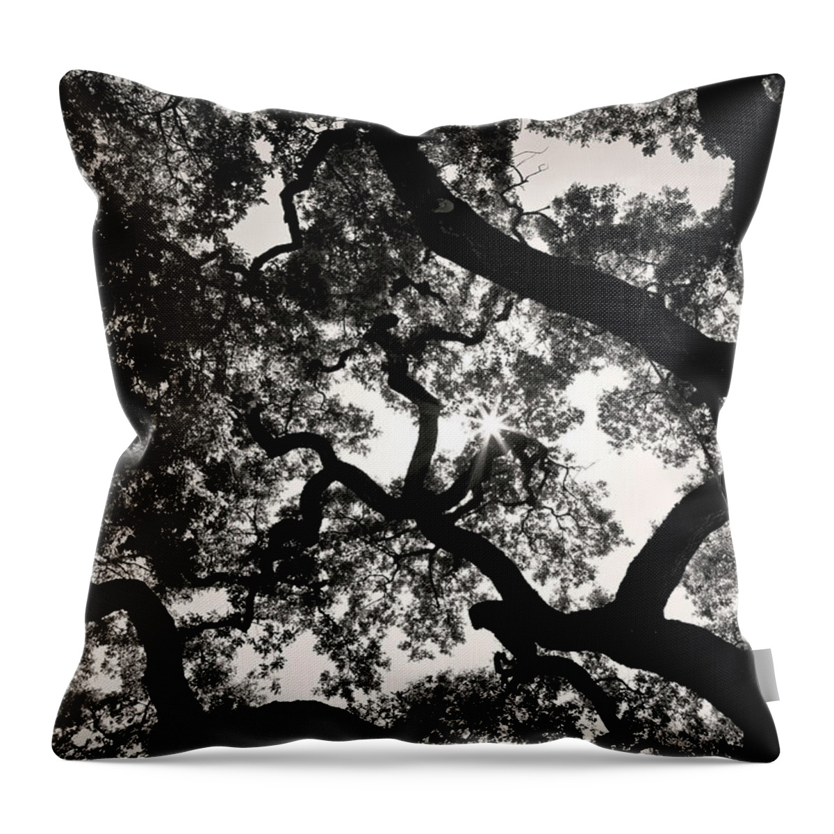 Oak Throw Pillow featuring the photograph 300 Year Old Maze by Ryan Huebel