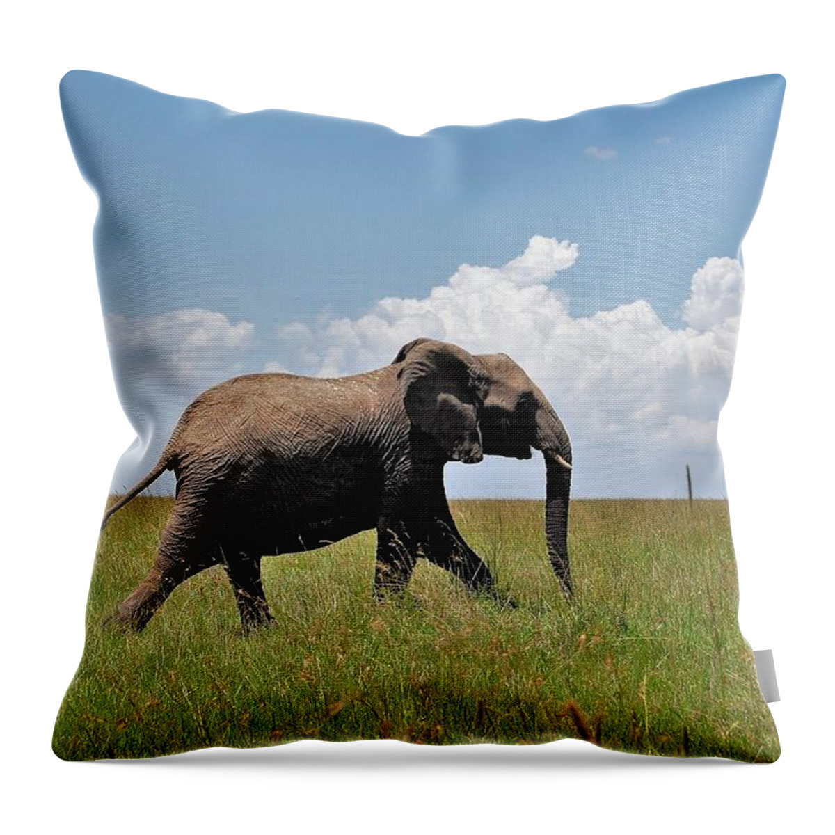  Throw Pillow featuring the photograph 30k by Jay Handler