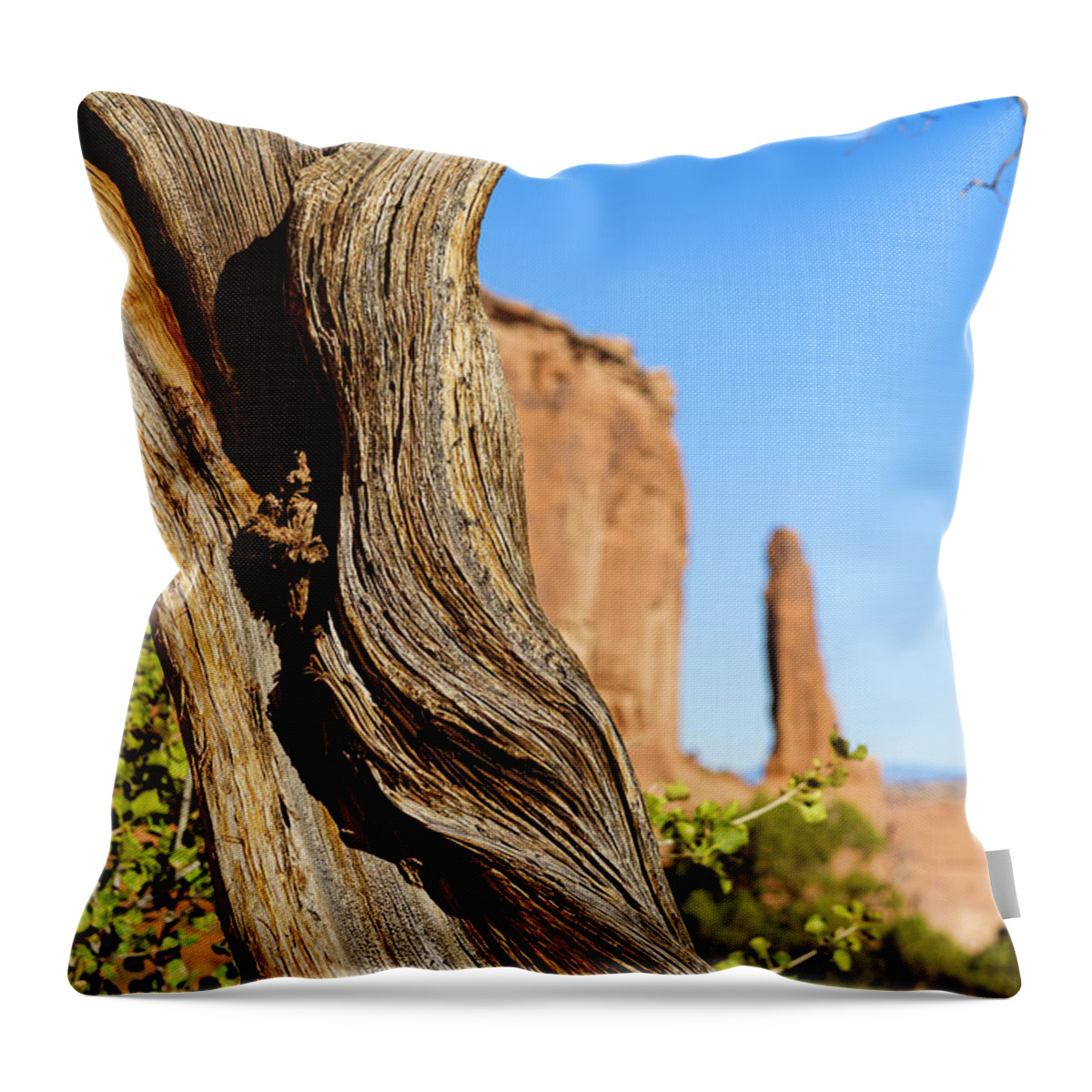 Arches National Park Throw Pillow featuring the photograph Arches National Park #32 by Raul Rodriguez