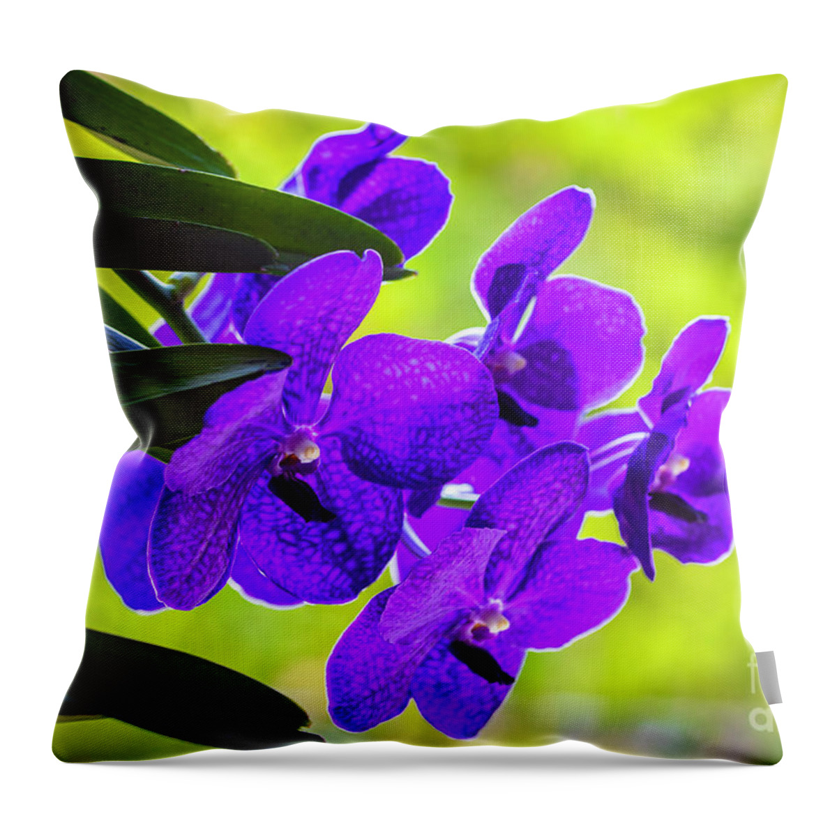 Background Throw Pillow featuring the photograph Purple Orchid Flowers #33 by Raul Rodriguez