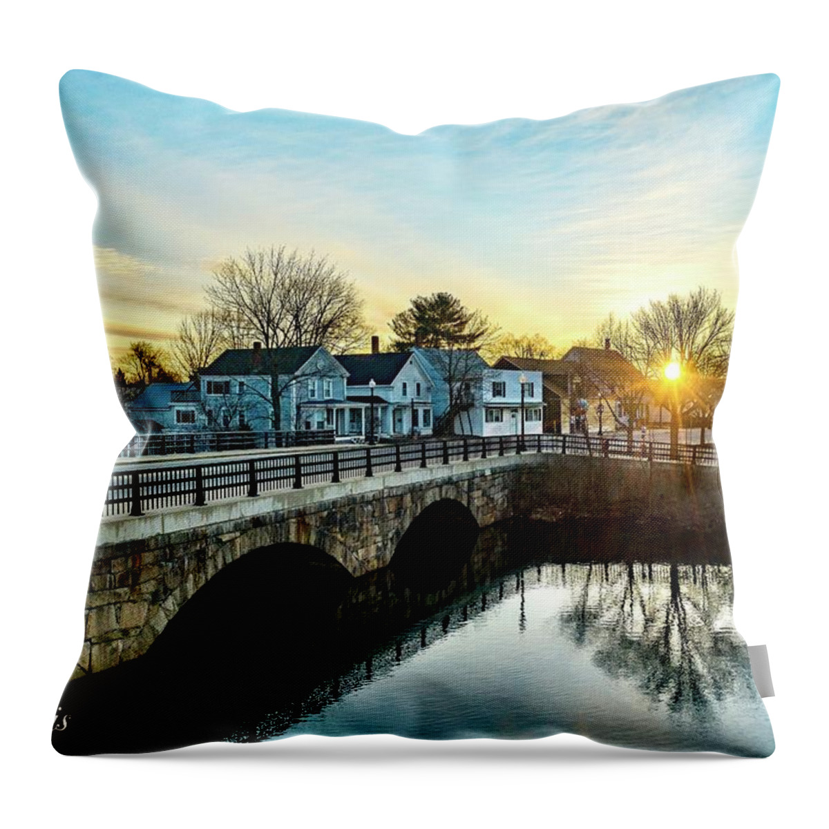  Throw Pillow featuring the photograph Rochester #33 by John Gisis