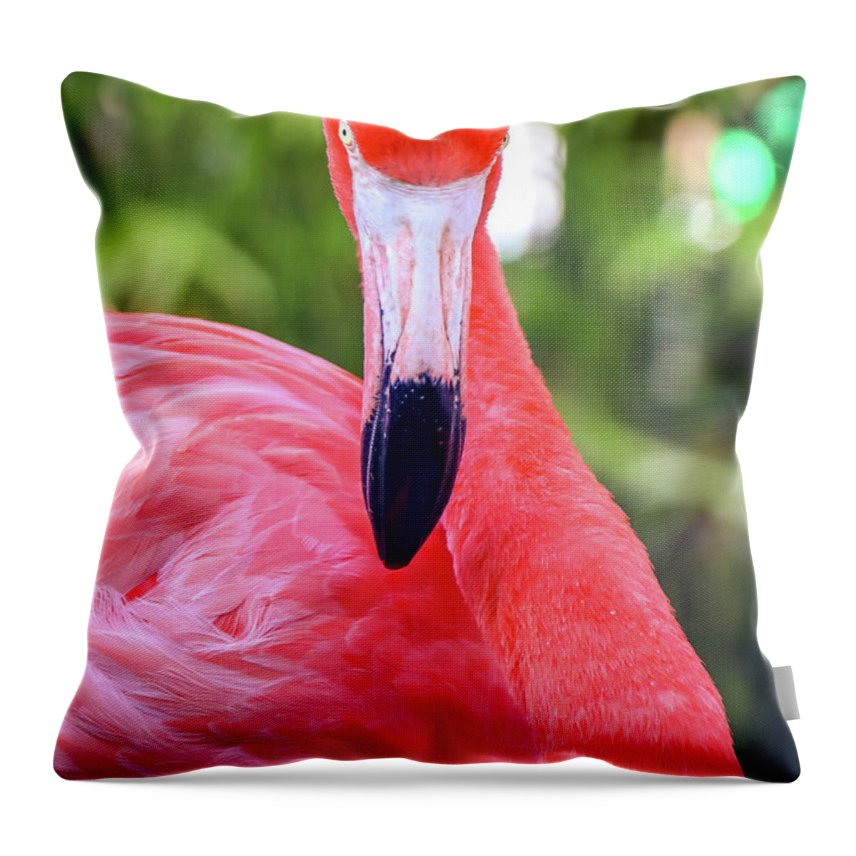 Costa Maya Mexico Throw Pillow featuring the photograph Costa Maya Mexico #35 by Paul James Bannerman