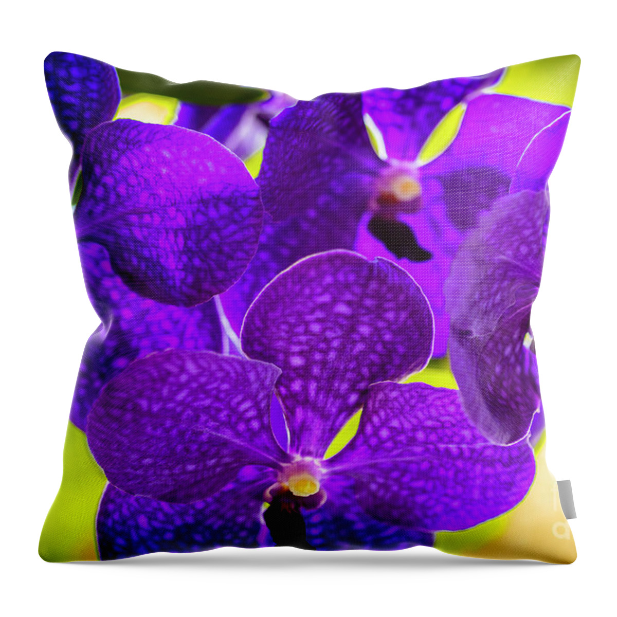 Background Throw Pillow featuring the photograph Purple Orchid Flowers #35 by Raul Rodriguez