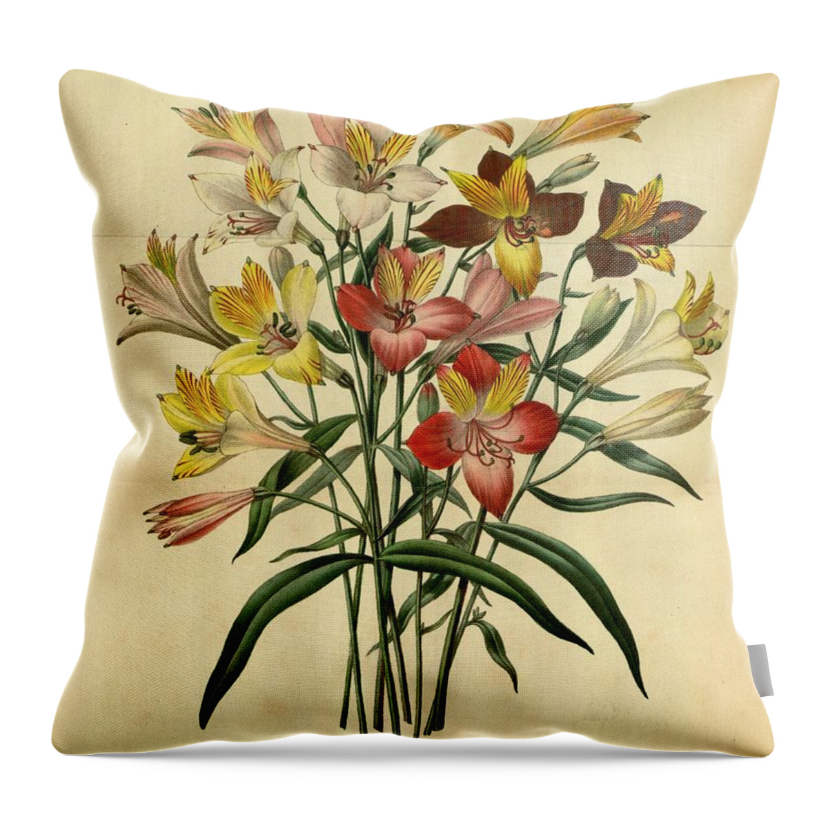 Orchid Throw Pillow featuring the mixed media Vintage Flower #38 by World Art Collective