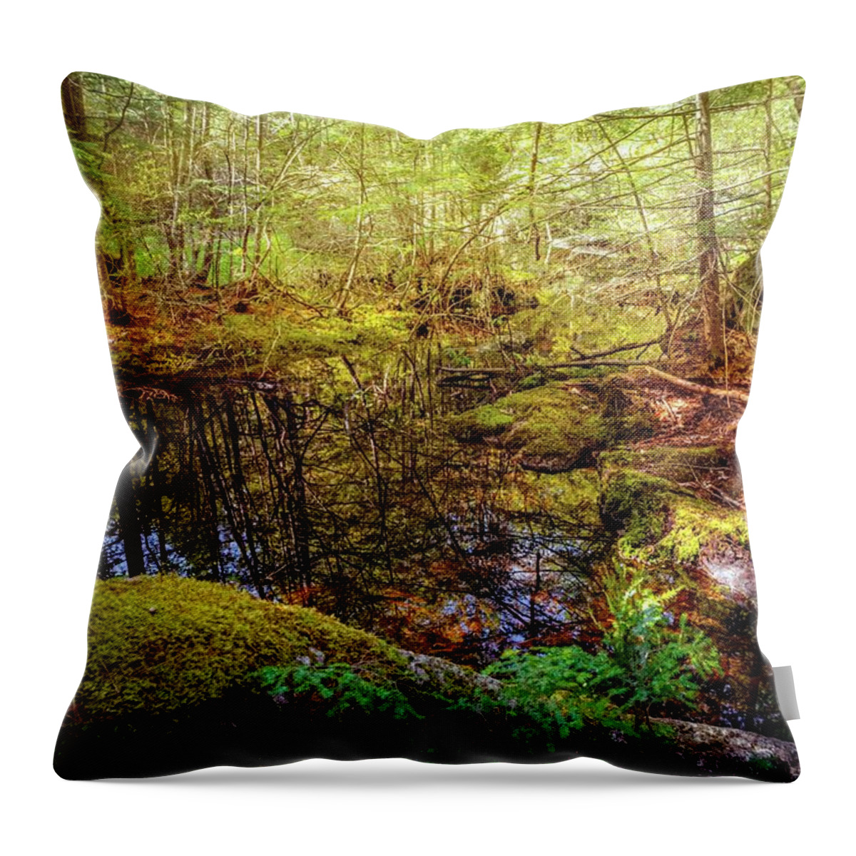 Creek Throw Pillow featuring the photograph Deep in the woods #4 by Lilia S