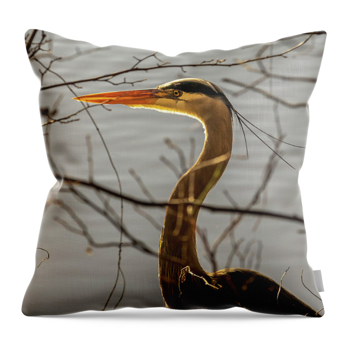 Wildlife Throw Pillow featuring the photograph Great Blue Heron #4 by Rick Nelson