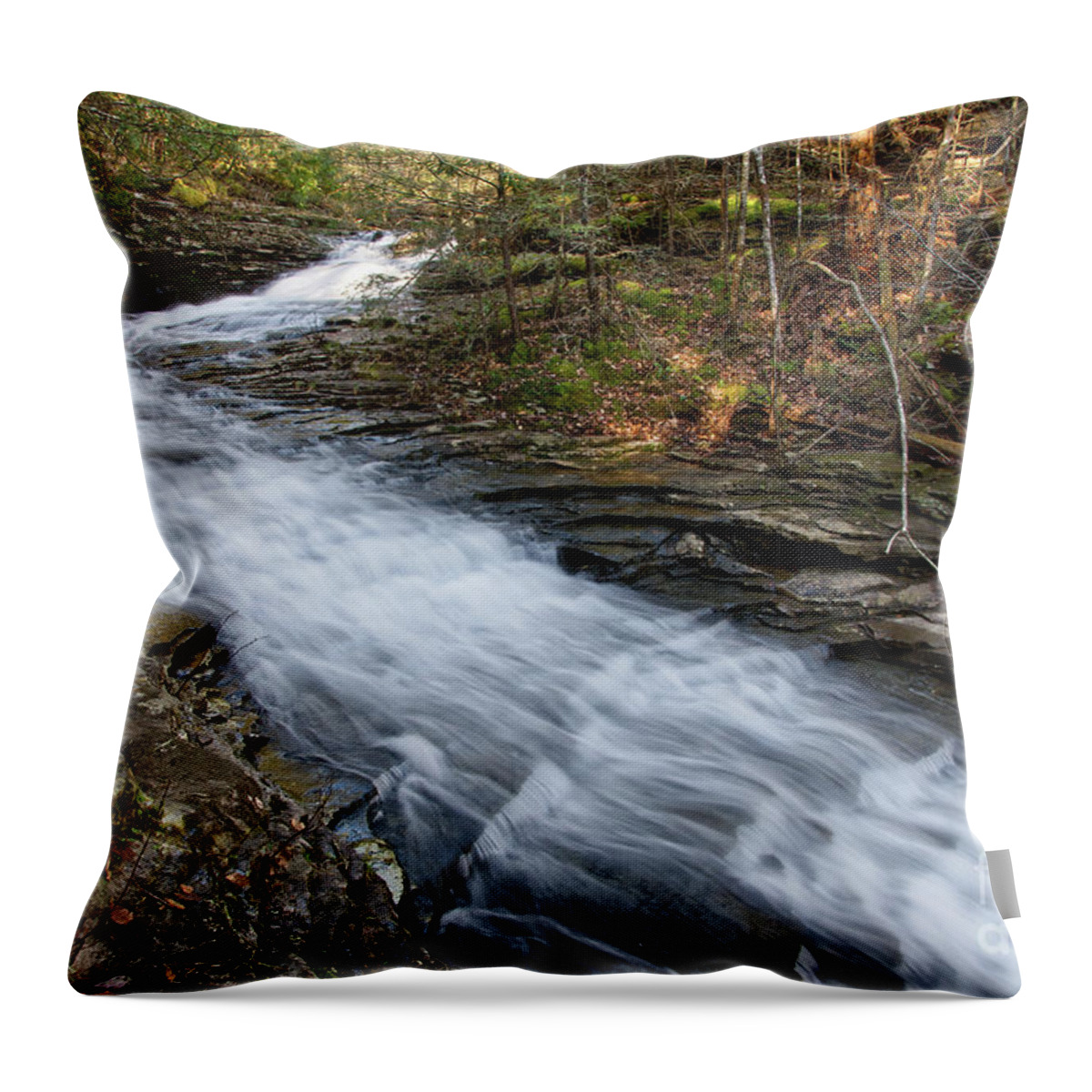 Hike Throw Pillow featuring the photograph Rushing Water #4 by Phil Perkins