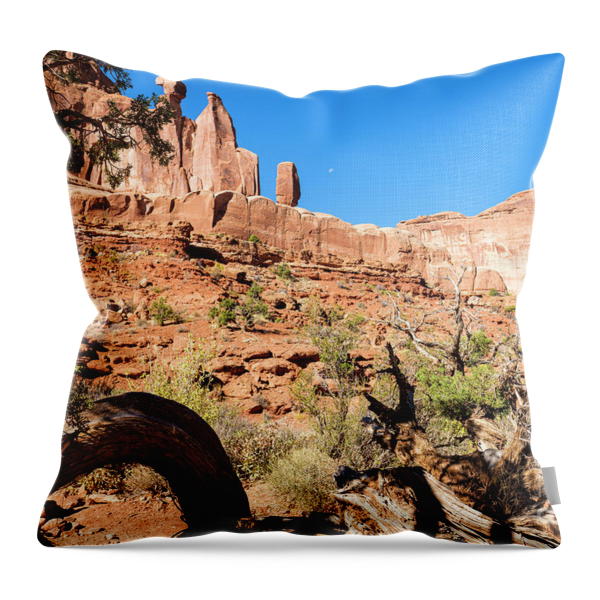 Arches National Park Throw Pillow featuring the photograph Arches National Park #41 by Raul Rodriguez