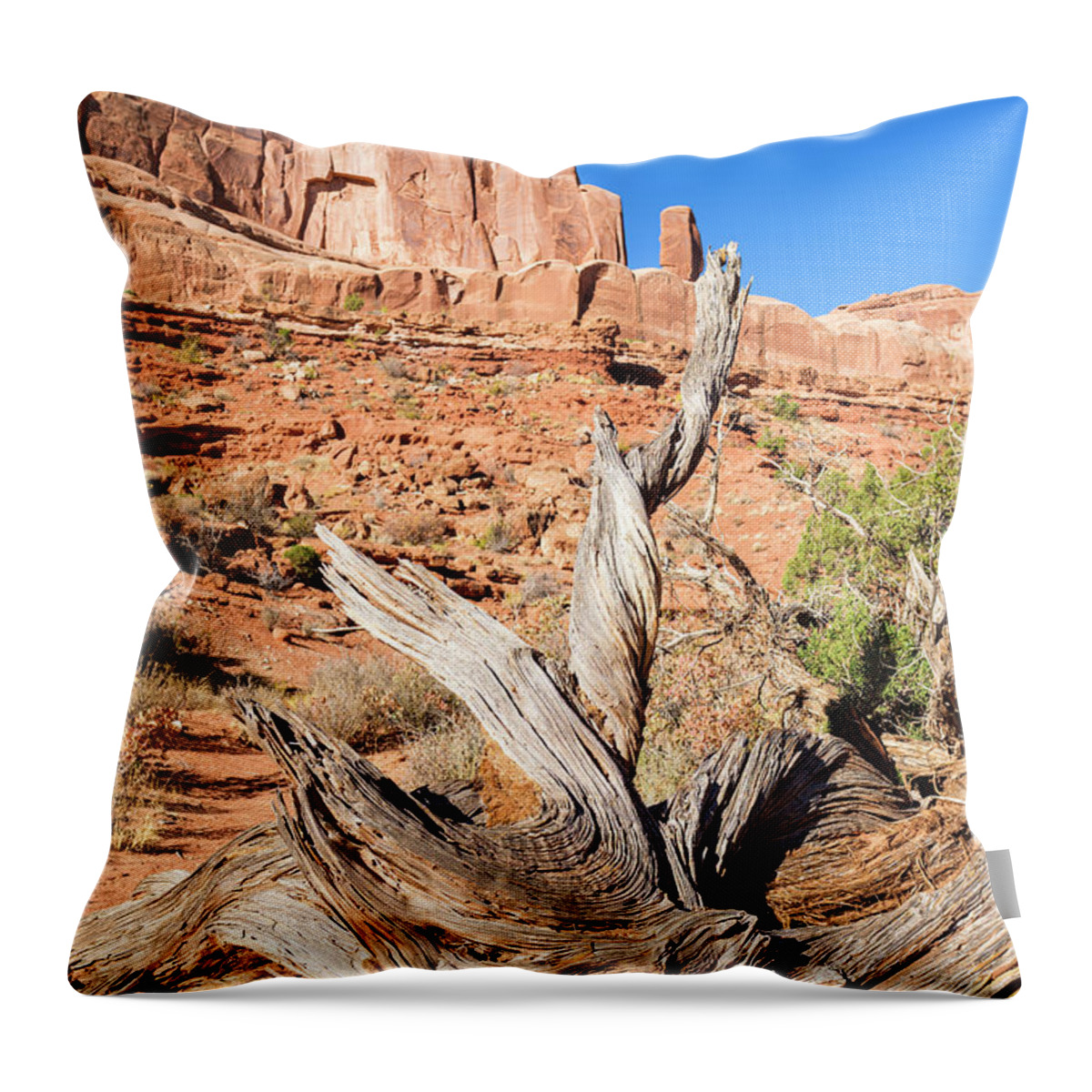 Arches National Park Throw Pillow featuring the photograph Arches National Park #44 by Raul Rodriguez