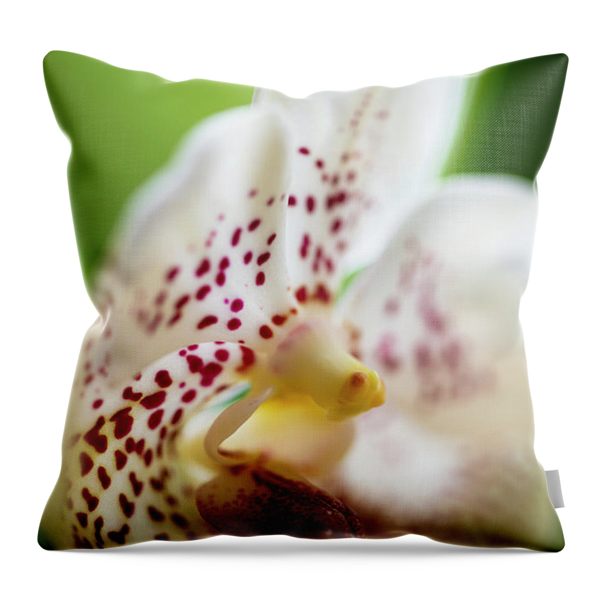 Background Throw Pillow featuring the photograph Spotted Orchid Flower #5 by Raul Rodriguez