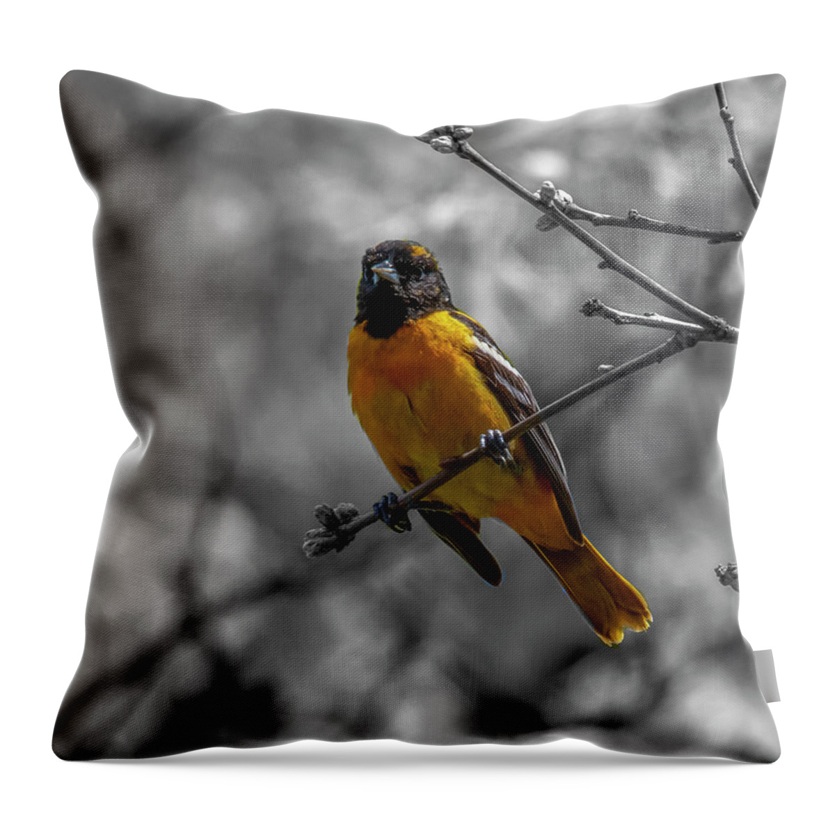Bird Throw Pillow featuring the photograph Stand Out #5 by Cathy Kovarik