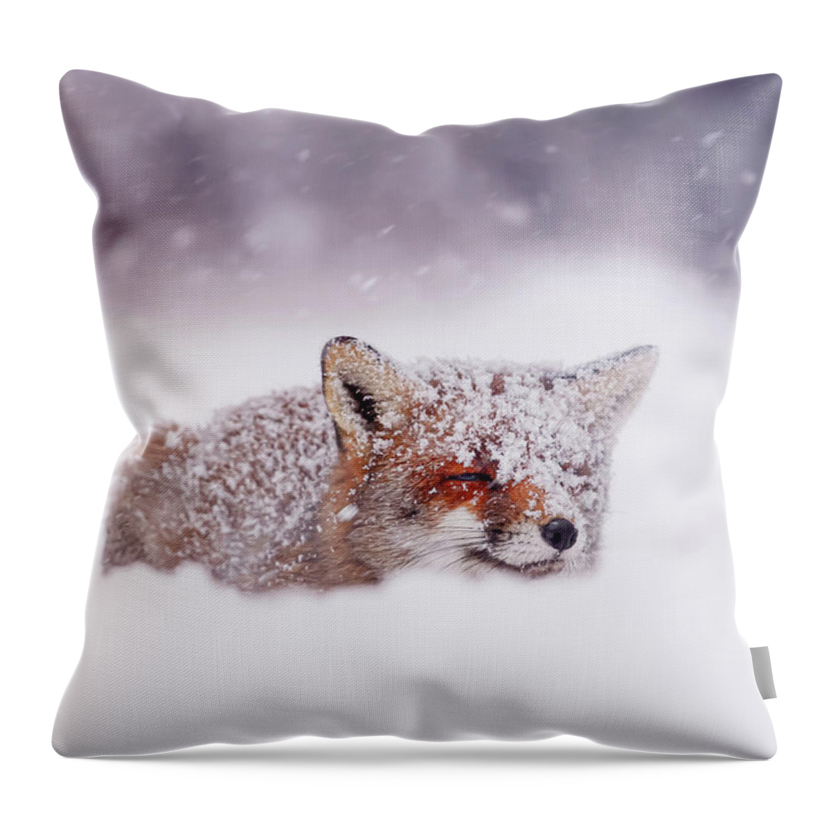 Red Fox Throw Pillow featuring the photograph 50 Shades of White and a Touch of Red by Roeselien Raimond