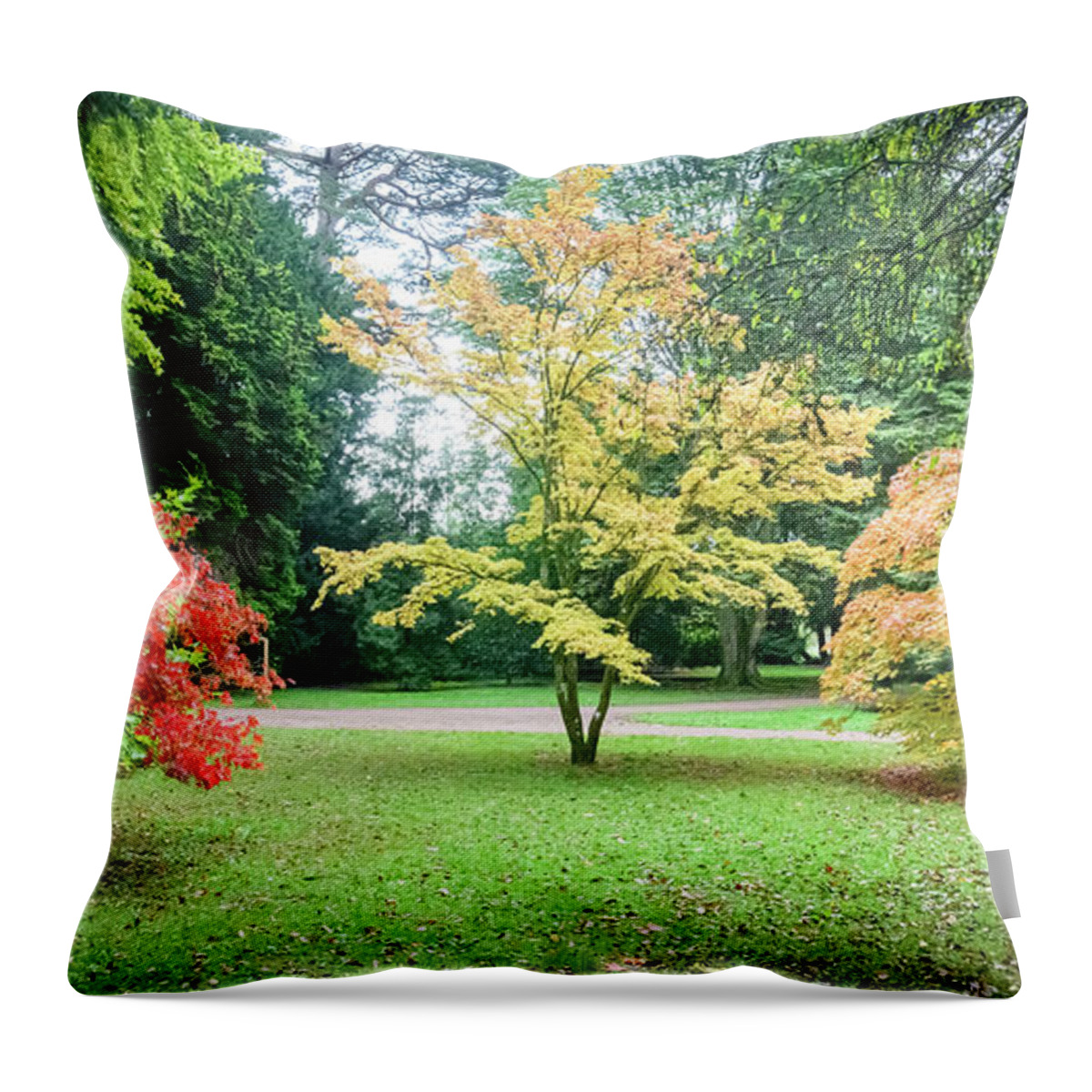 Autumn Throw Pillow featuring the photograph Autumn colours #6 by Colin Rayner