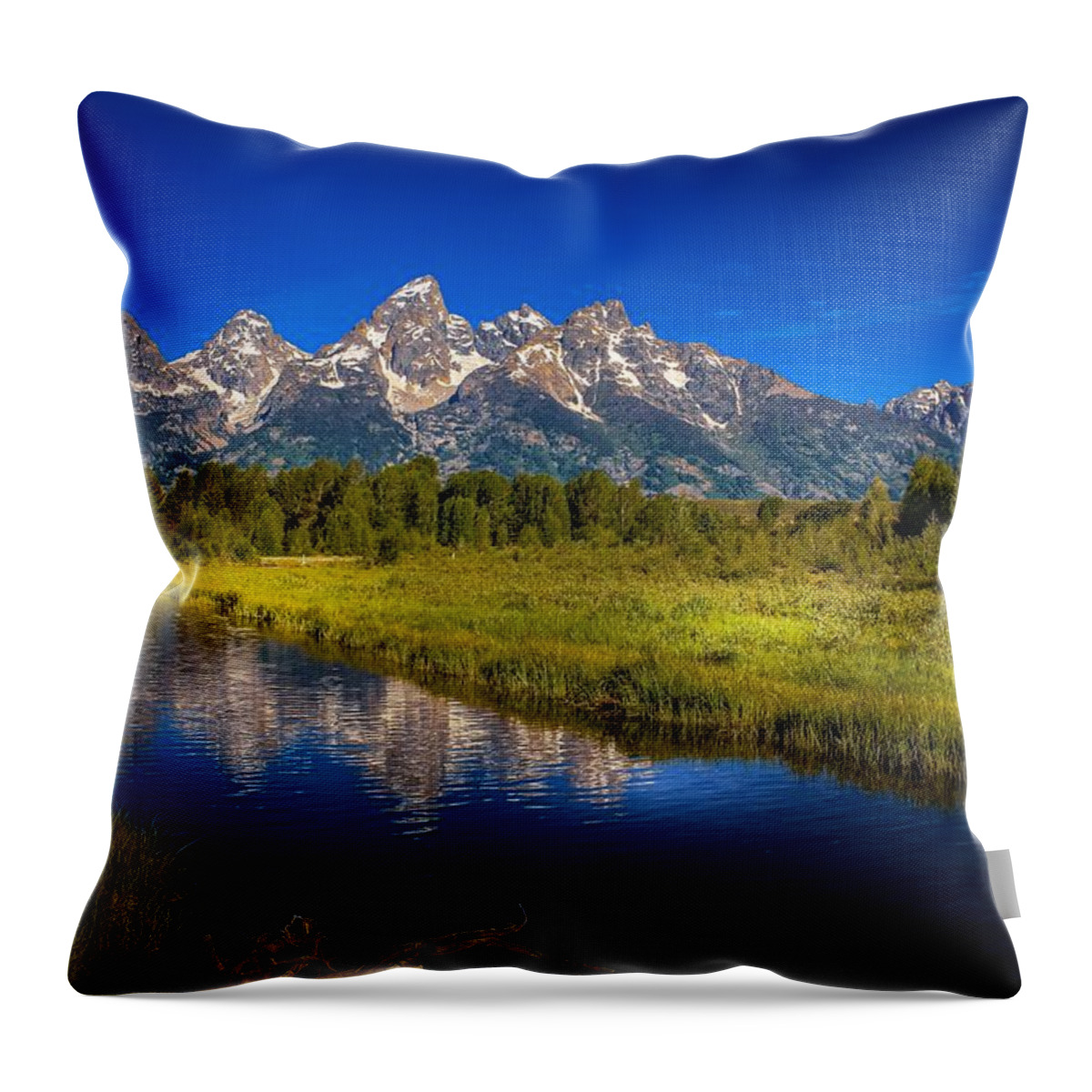Grand Throw Pillow featuring the photograph Grand Teton National Park #6 by Brian Venghous