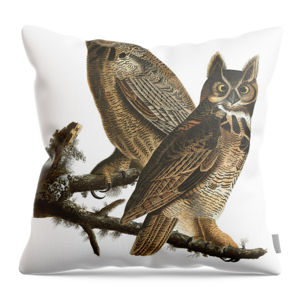 Great Horned Owl Throw Pillow featuring the drawing Great Horned Owl by John James Audubon by Mango Art