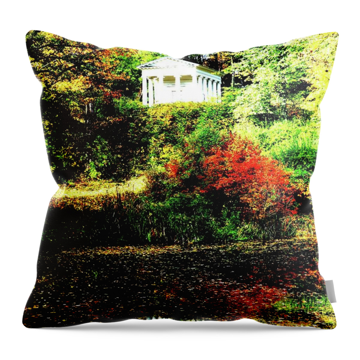Lazienki Throw Pillow featuring the photograph Lazienki Park In Warsaw, Poland by John Siest