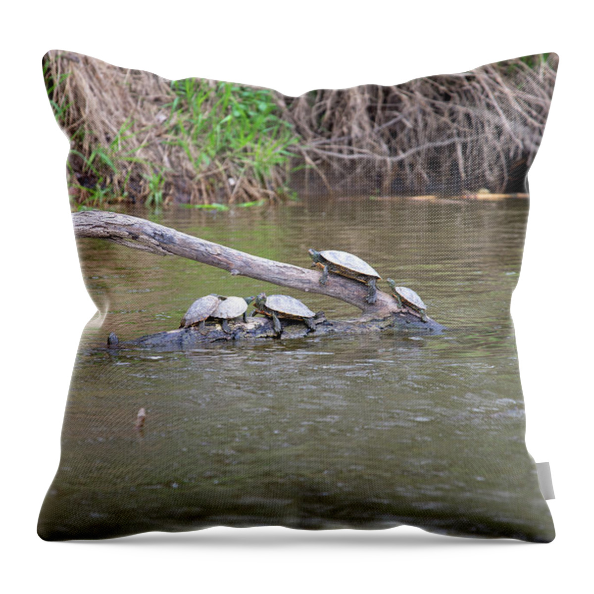 Turtle Throw Pillow featuring the photograph Turtle Party #6 by Linda Kerkau