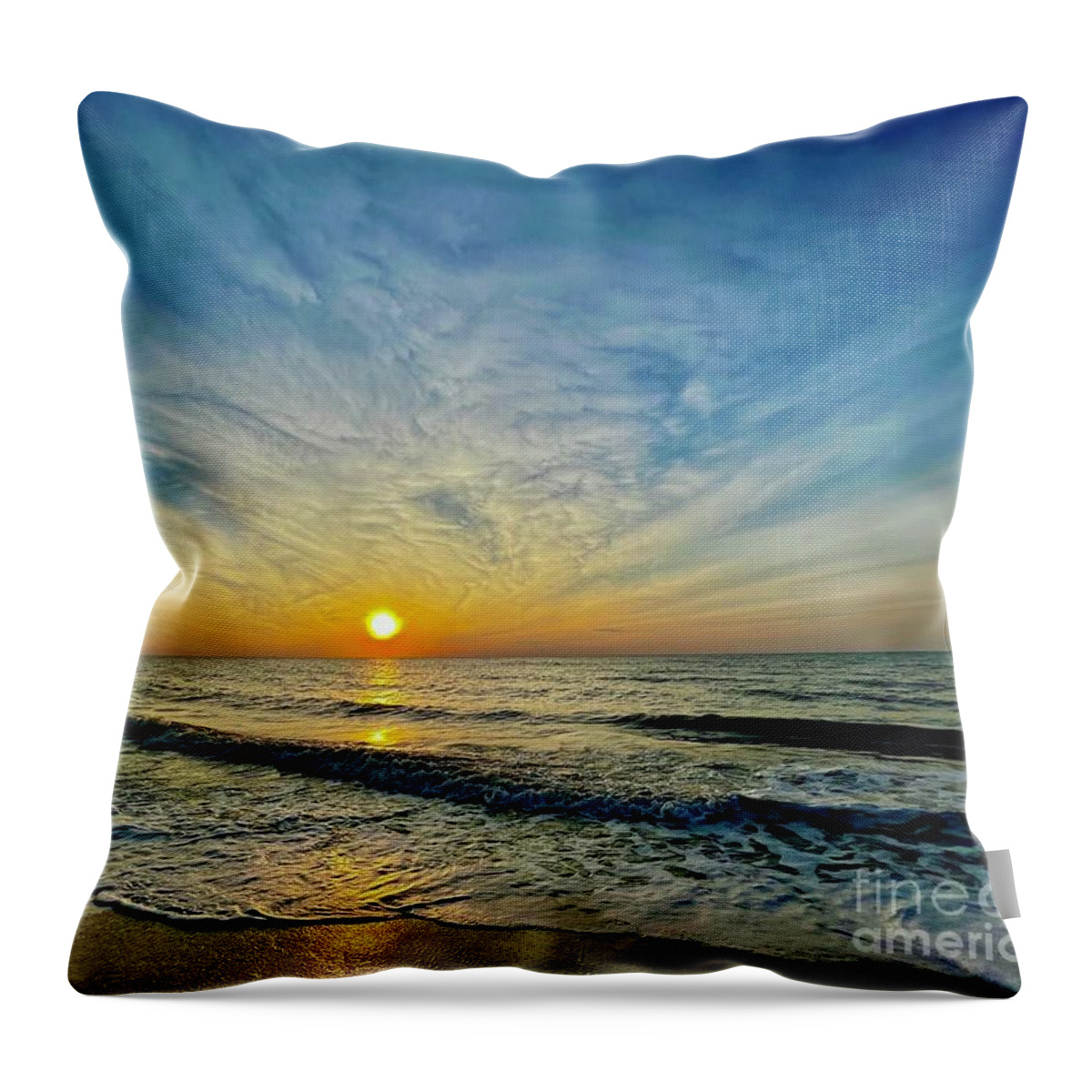  Throw Pillow featuring the photograph 4221 by Donn Ingemie