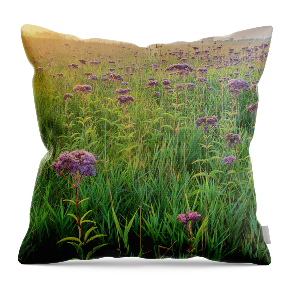 August Throw Pillow featuring the photograph 616-68 JoPye Sunrise by Hank Erdmann