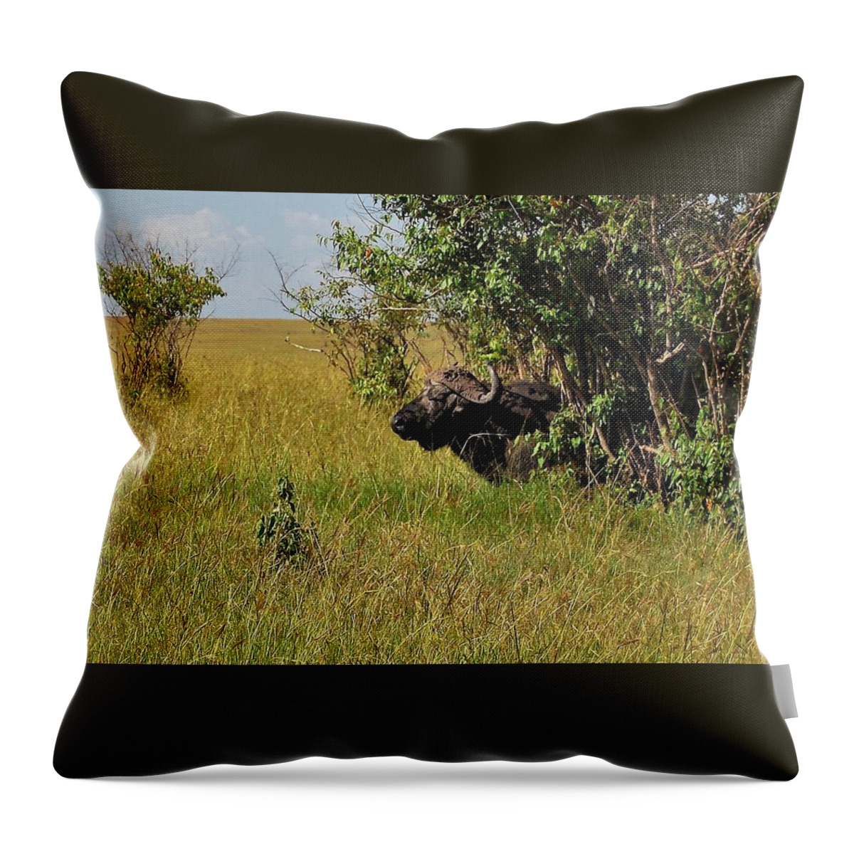  Throw Pillow featuring the photograph 6K by Jay Handler