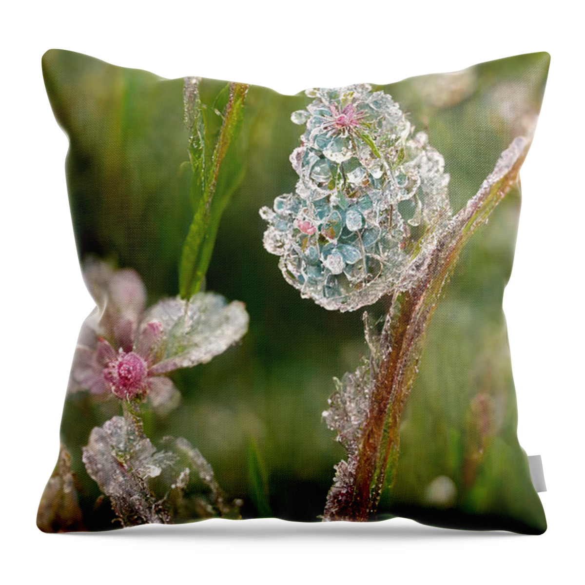 Winter Throw Pillow featuring the digital art First frost #7 by Sabantha
