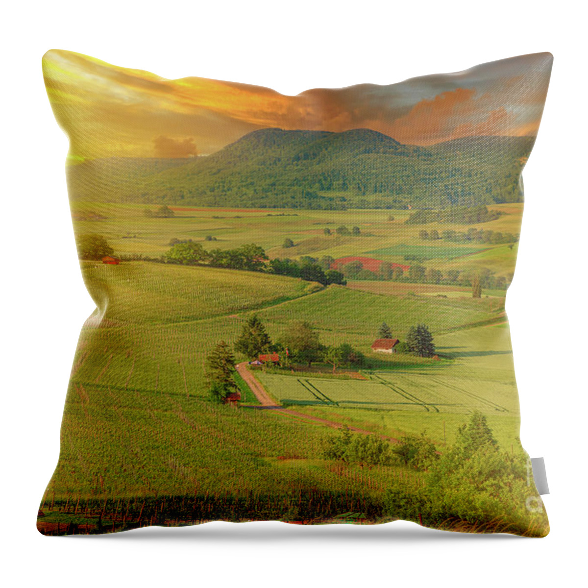 Terraced Vineyards Throw Pillow featuring the digital art vineyards of Hallau in Switzerland #7 by Benny Marty