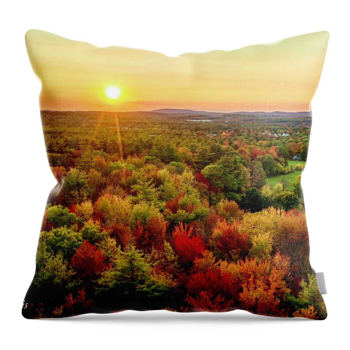  Throw Pillow featuring the photograph Rochester #77 by John Gisis