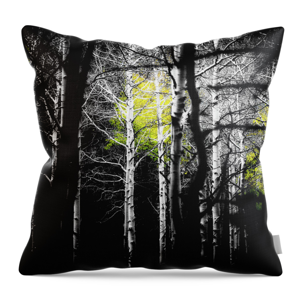 Co Throw Pillow featuring the photograph Aspens #8 by Doug Wittrock