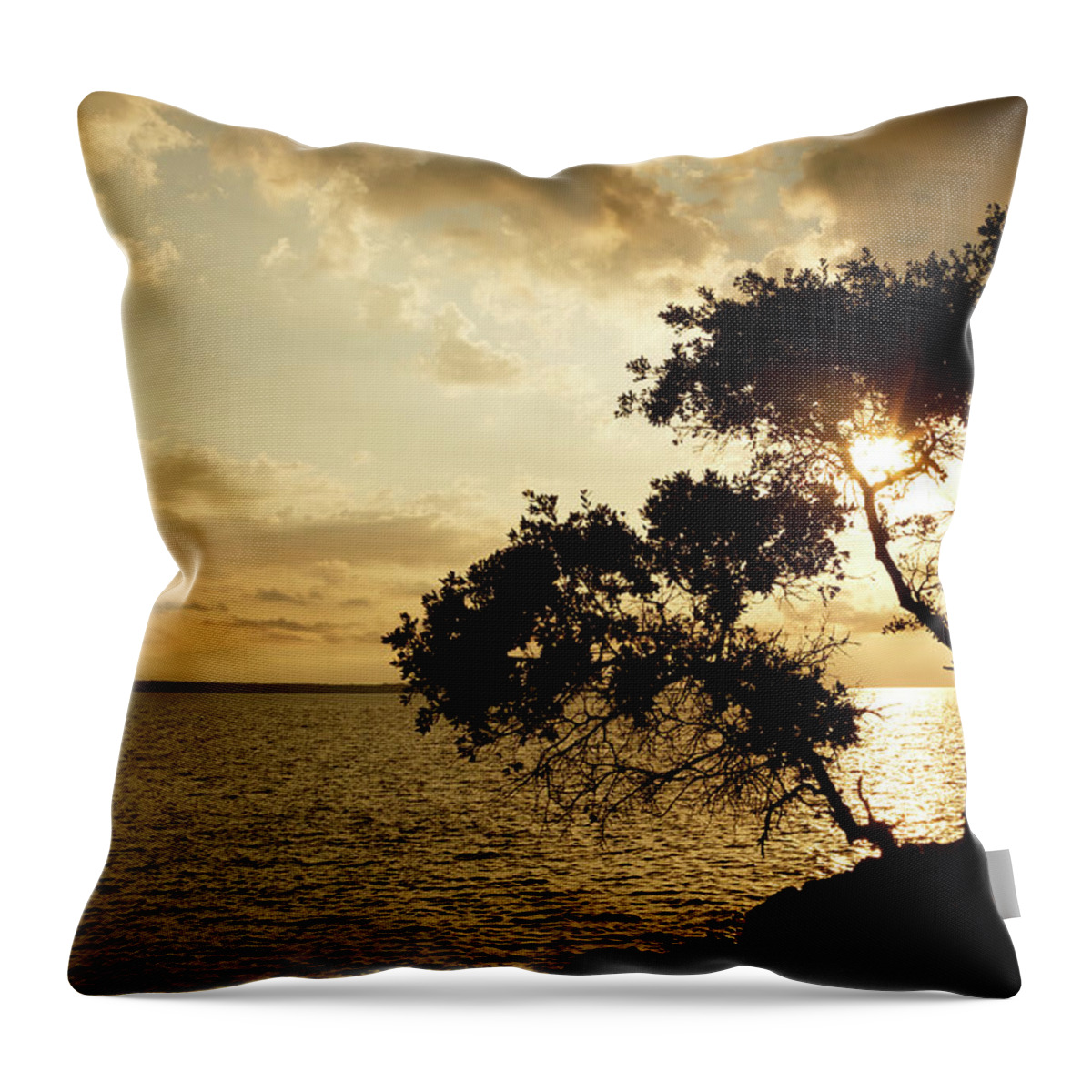 Losinj Throw Pillow featuring the photograph Cunski beach and coastline, Losinj Island, Croatia #8 by Ian Middleton