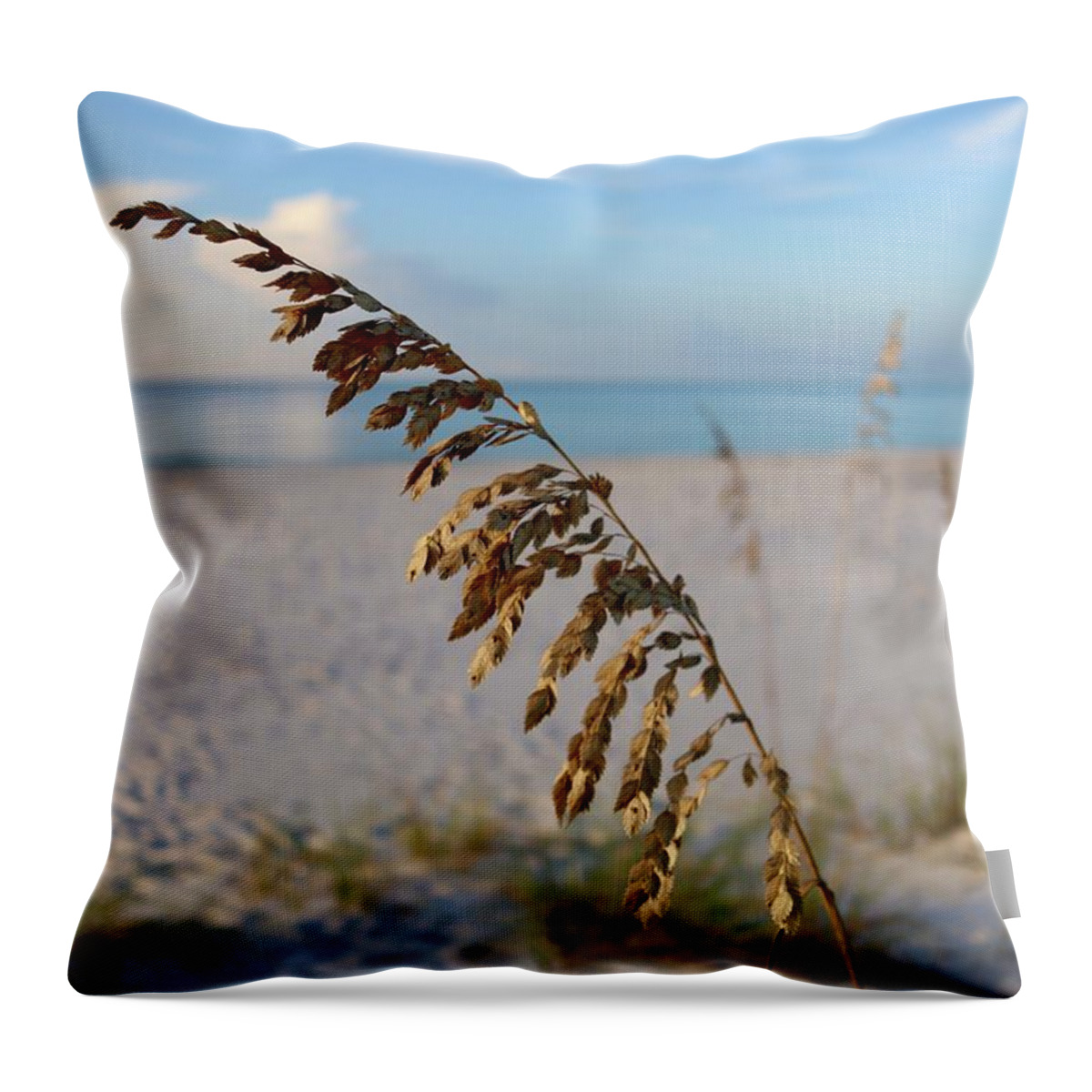 Perdido Key Throw Pillow featuring the photograph  Sea Oats Print #8 by Gary Oliver